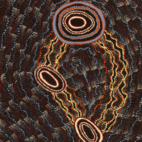 Aboriginal Artwork by Debbie Napaljarri Brown, Wanakiji Jukurrpa (Bush Tomato Dreaming), 183x61cm
