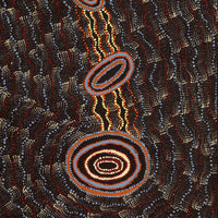 Aboriginal Artwork by Debbie Napaljarri Brown, Wanakiji Jukurrpa (Bush Tomato Dreaming), 183x61cm