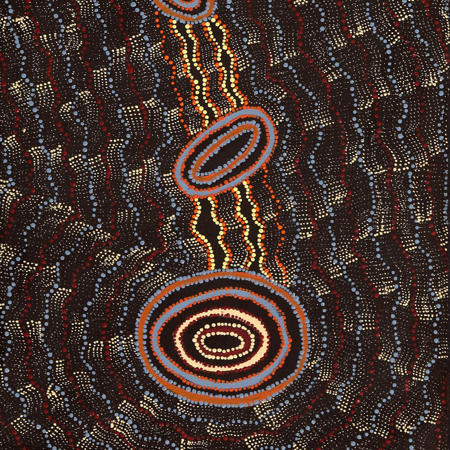 Aboriginal Artwork by Debbie Napaljarri Brown, Wanakiji Jukurrpa (Bush Tomato Dreaming), 183x61cm