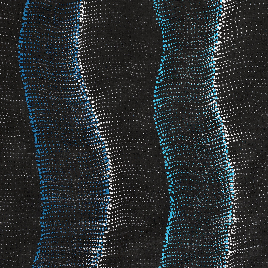 Aboriginal Artwork by Debbie Napaljarri Brown, Wanakiji Jukurrpa (Bush Tomato Dreaming), 183x61cm