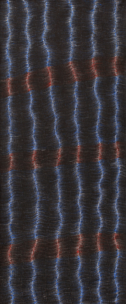 Aboriginal Artwork by Debbie Napaljarri Brown, Wanakiji Jukurrpa (Bush Tomato Dreaming), 183x76cm