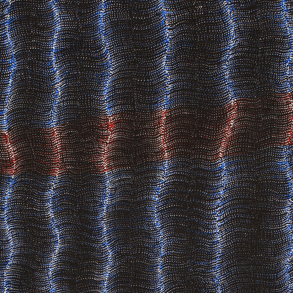 Aboriginal Artwork by Debbie Napaljarri Brown, Wanakiji Jukurrpa (Bush Tomato Dreaming), 183x76cm