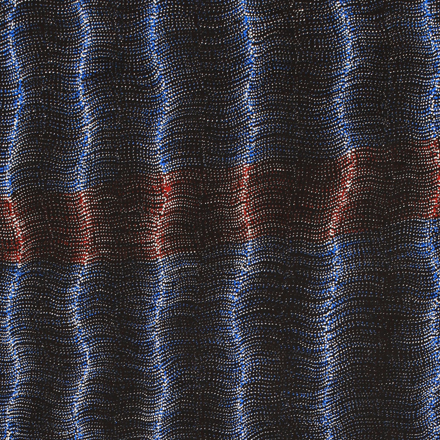 Aboriginal Artwork by Debbie Napaljarri Brown, Wanakiji Jukurrpa (Bush Tomato Dreaming), 183x76cm