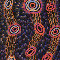 Aboriginal Artwork by Debbie Napaljarri Brown, Wanakiji Jukurrpa (Bush Tomato Dreaming), 183x76cm