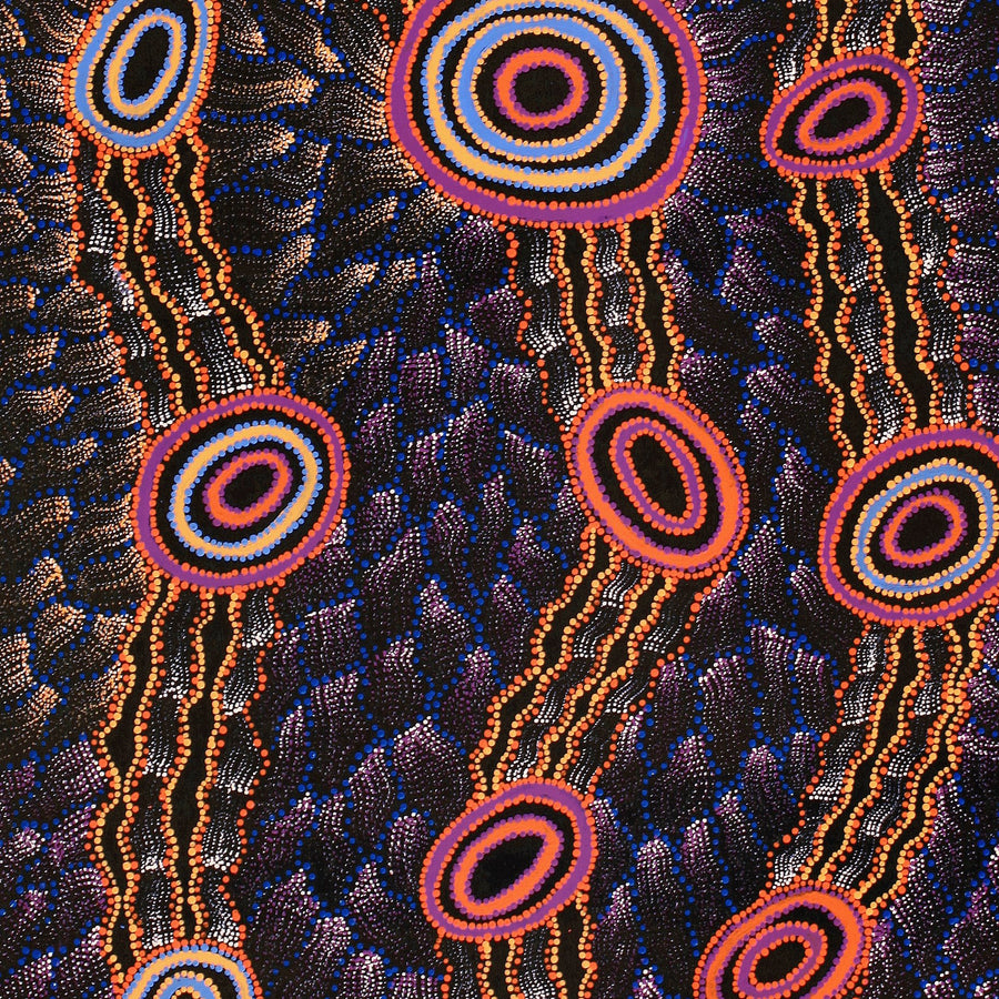 Aboriginal Artwork by Debbie Napaljarri Brown, Wanakiji Jukurrpa (Bush Tomato Dreaming), 183x76cm