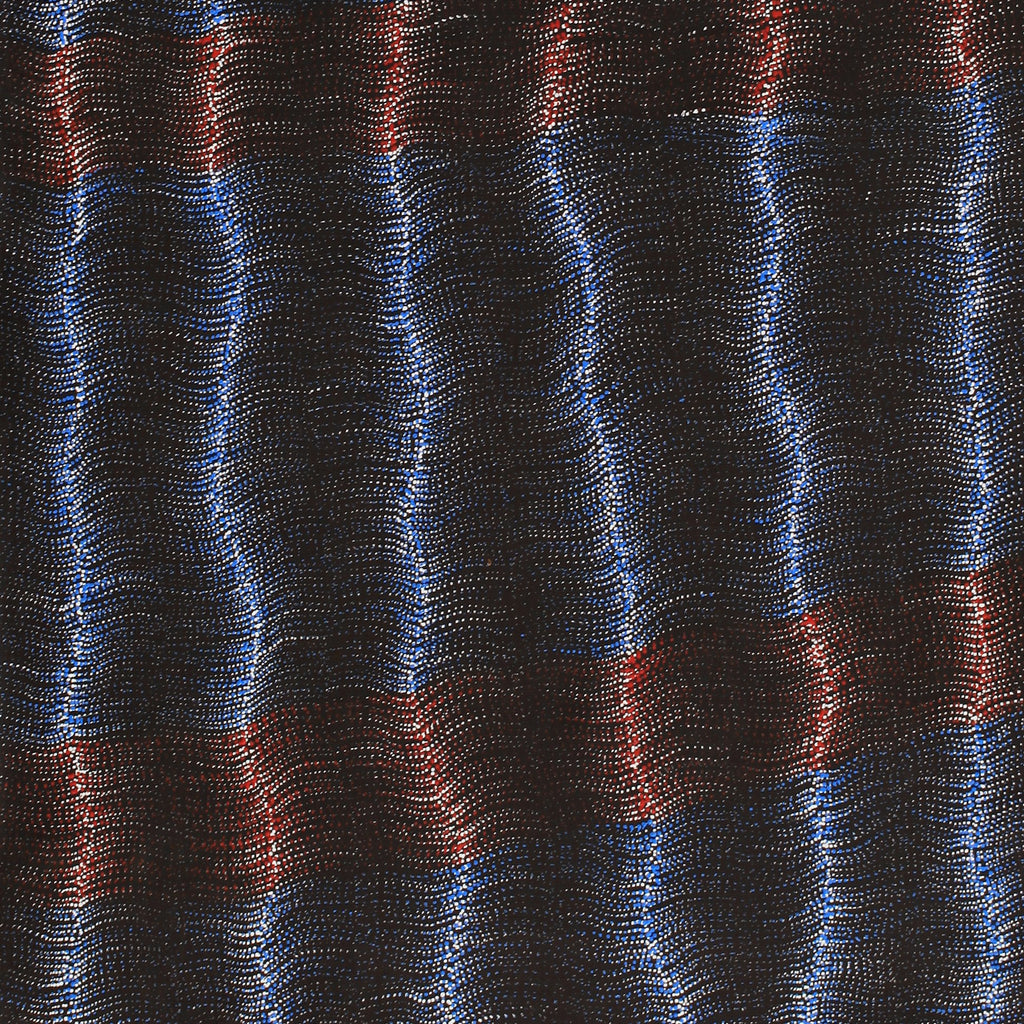 Aboriginal Artwork by Debbie Napaljarri Brown, Wanakiji Jukurrpa (Bush Tomato Dreaming), 183x76cm