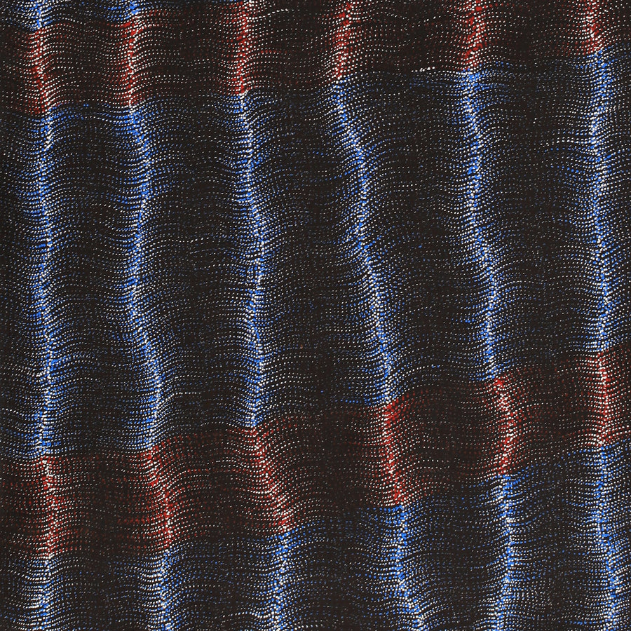Aboriginal Artwork by Debbie Napaljarri Brown, Wanakiji Jukurrpa (Bush Tomato Dreaming), 183x76cm