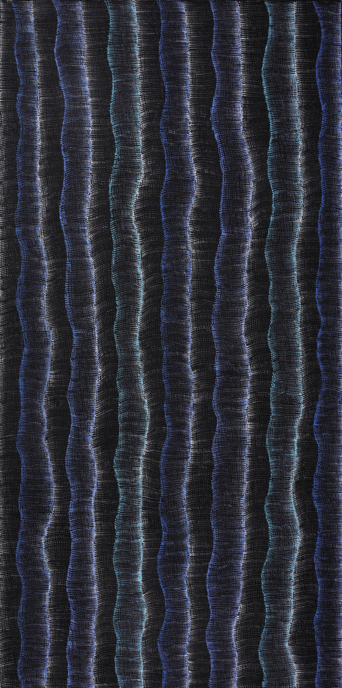 Aboriginal Artwork by Debbie Napaljarri Brown, Wanakiji Jukurrpa (Bush Tomato Dreaming), 183x91cm