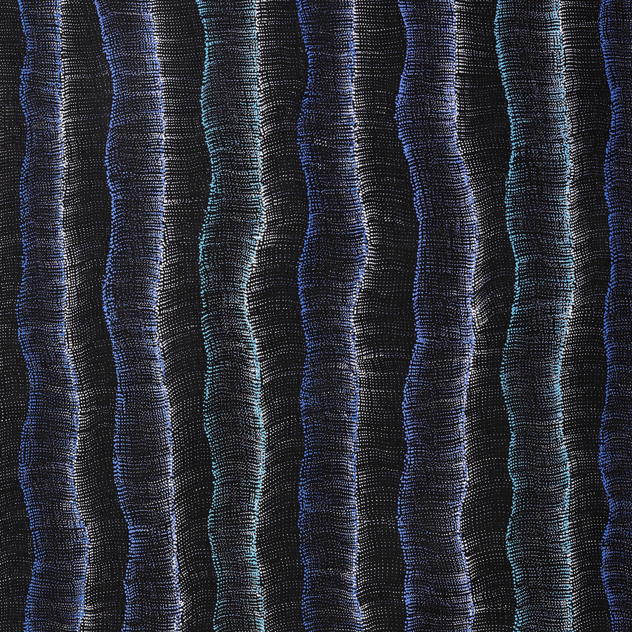 Aboriginal Artwork by Debbie Napaljarri Brown, Wanakiji Jukurrpa (Bush Tomato Dreaming), 183x91cm