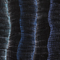 Aboriginal Artwork by Debbie Napaljarri Brown, Wanakiji Jukurrpa (Bush Tomato Dreaming), 183x91cm