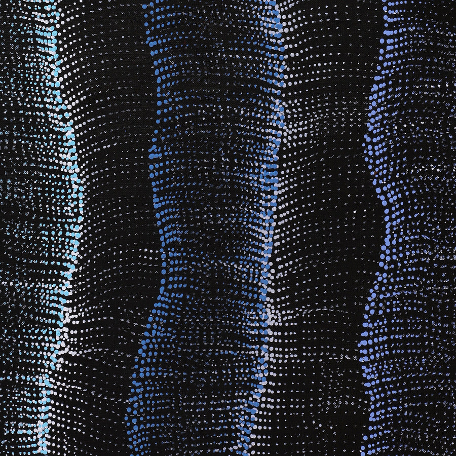 Aboriginal Artwork by Debbie Napaljarri Brown, Wanakiji Jukurrpa (Bush Tomato Dreaming), 183x91cm