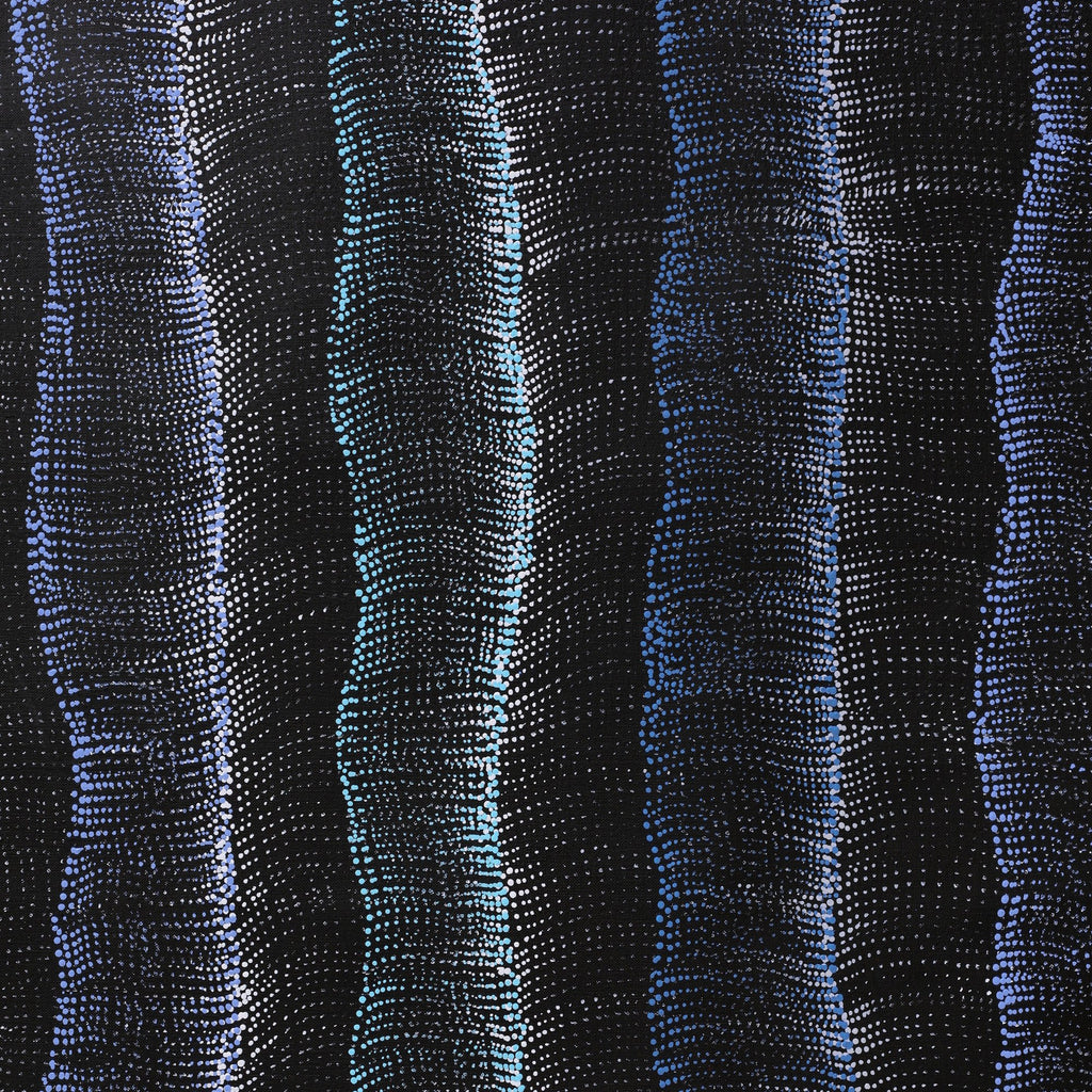 Aboriginal Artwork by Debbie Napaljarri Brown, Wanakiji Jukurrpa (Bush Tomato Dreaming), 183x91cm