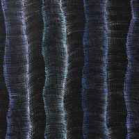 Aboriginal Artwork by Debbie Napaljarri Brown, Wanakiji Jukurrpa (Bush Tomato Dreaming), 183x91cm