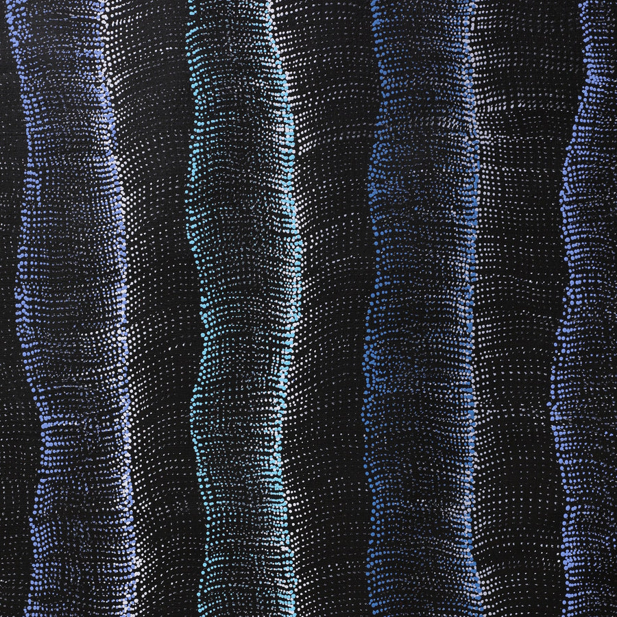 Aboriginal Artwork by Debbie Napaljarri Brown, Wanakiji Jukurrpa (Bush Tomato Dreaming), 183x91cm