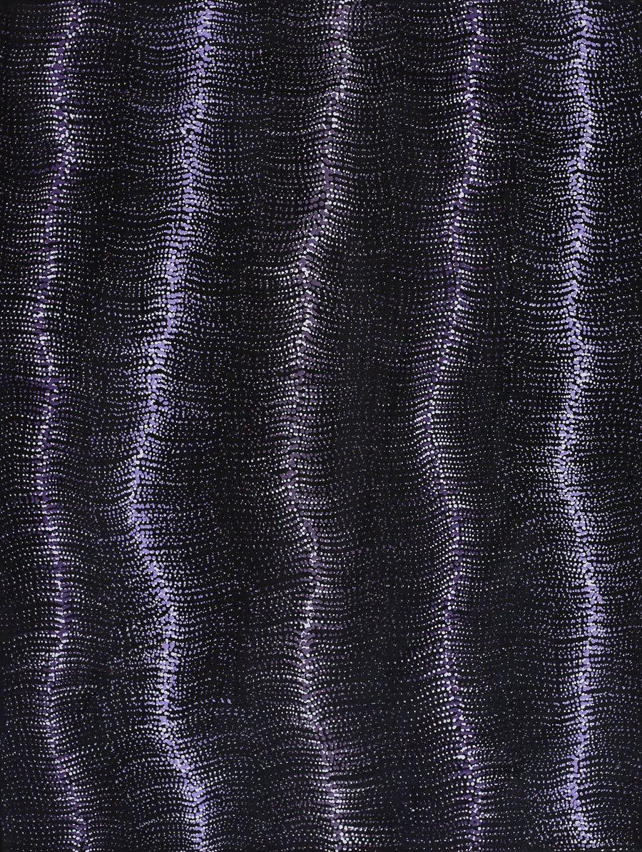 Aboriginal Artwork by Debbie Napaljarri Brown, Wanakiji Jukurrpa (Bush Tomato Dreaming), 61x46cm