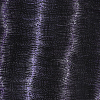 Aboriginal Artwork by Debbie Napaljarri Brown, Wanakiji Jukurrpa (Bush Tomato Dreaming), 61x46cm