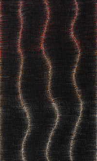 Aboriginal Artwork by Debbie Napaljarri Brown, Wanakiji Jukurrpa (Bush Tomato Dreaming), 76x46cm