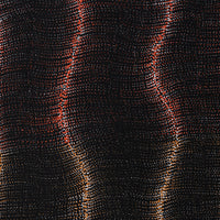 Aboriginal Artwork by Debbie Napaljarri Brown, Wanakiji Jukurrpa (Bush Tomato Dreaming), 76x46cm