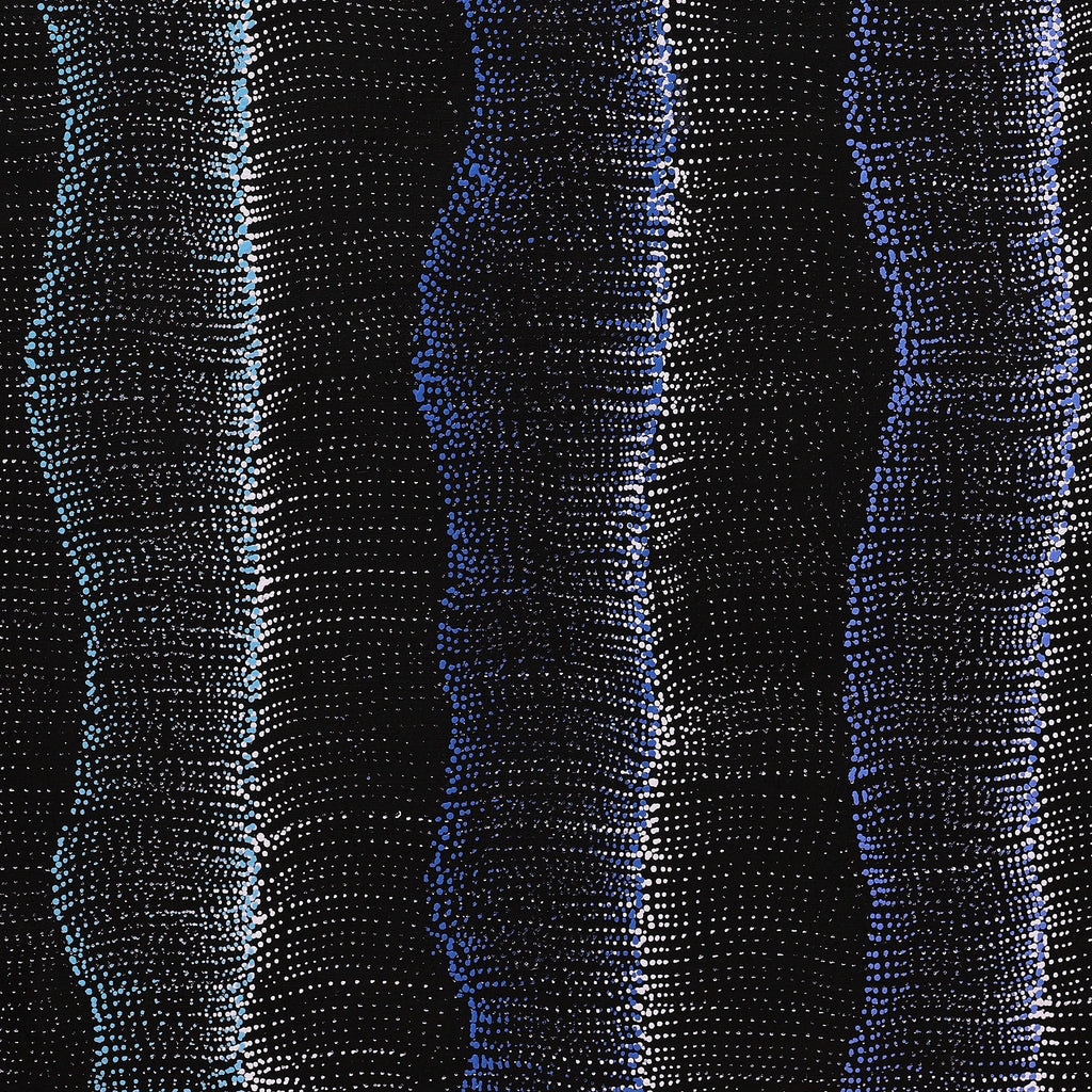 Aboriginal Artwork by Debbie Napaljarri Brown, Wanakiji Jukurrpa (Bush Tomato Dreaming), 91x76cm