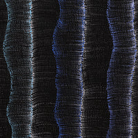 Aboriginal Artwork by Debbie Napaljarri Brown, Wanakiji Jukurrpa (Bush Tomato Dreaming), 91x76cm