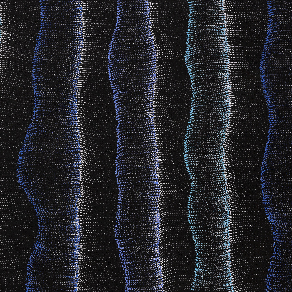 Aboriginal Artwork by Debbie Napaljarri Brown, Wanakiji Jukurrpa (Bush Tomato Dreaming), 91x76cm