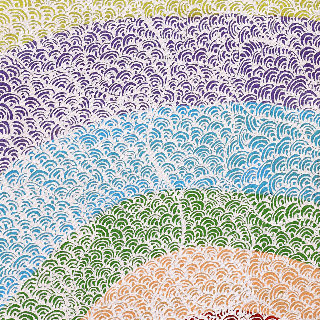 Aboriginal Artwork by Deborah Napaljarri Wayne, Yarungkanyi Jukurrpa (Mt Doreen Dreaming), 76x30cm