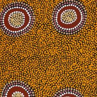 Aboriginal Artwork by Deborah Napangardi Williams, Wanakiji Jukurrpa (Bush Tomato Dreaming), 61x46cm
