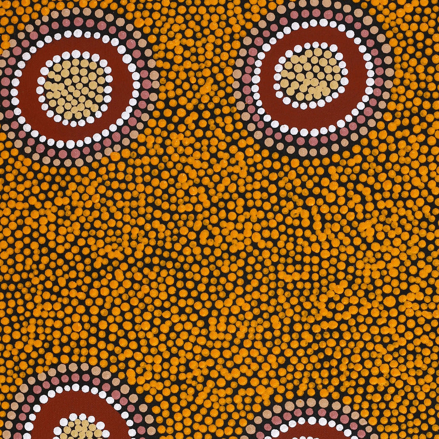 Aboriginal Artwork by Deborah Napangardi Williams, Wanakiji Jukurrpa (Bush Tomato Dreaming), 61x46cm