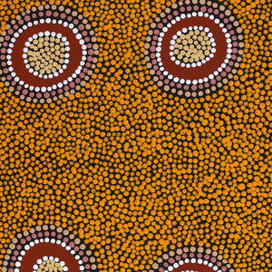 Aboriginal Artwork by Deborah Napangardi Williams, Wanakiji Jukurrpa (Bush Tomato Dreaming), 61x46cm - ART ARK®