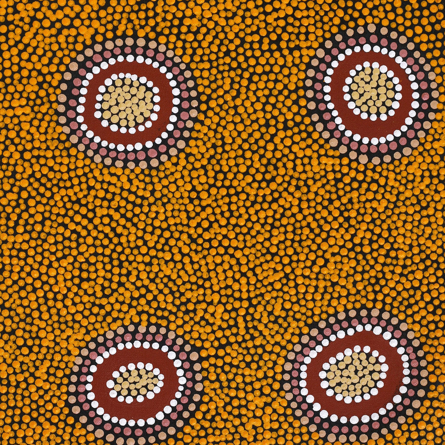 Aboriginal Artwork by Deborah Napangardi Williams, Wanakiji Jukurrpa (Bush Tomato Dreaming), 61x46cm