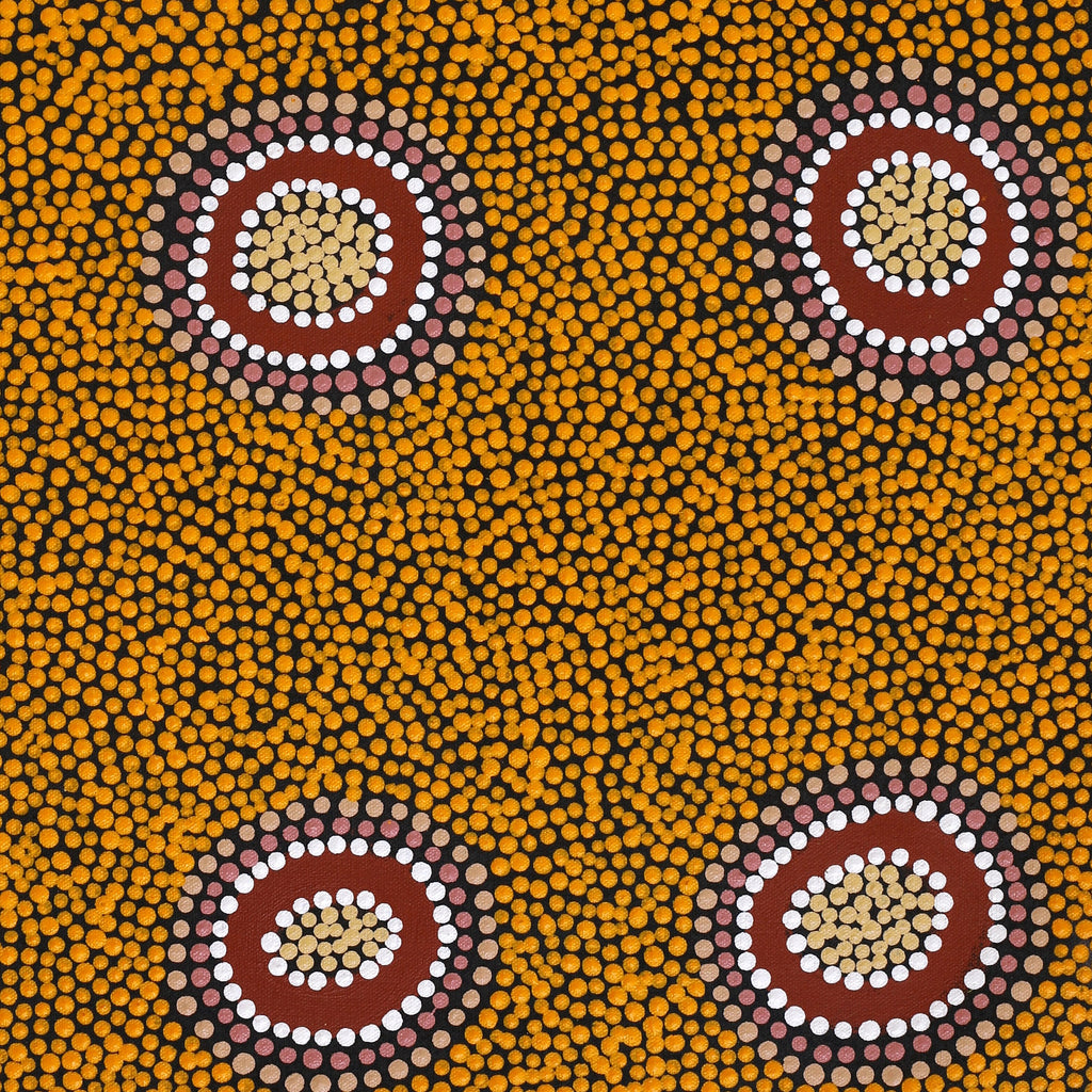 Aboriginal Art by Deborah Napangardi Williams, Wanakiji Jukurrpa (Bush Tomato Dreaming), 61x46cm - ART ARK®