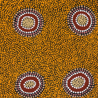 Aboriginal Art by Deborah Napangardi Williams, Wanakiji Jukurrpa (Bush Tomato Dreaming), 61x46cm - ART ARK®