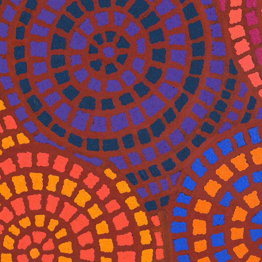 Aboriginal Artwork by Desphina Nampijinpa Brown, Mina Mina Jukurrpa (Mina Mina Dreaming) - Ngalyipi, 76x46cm
