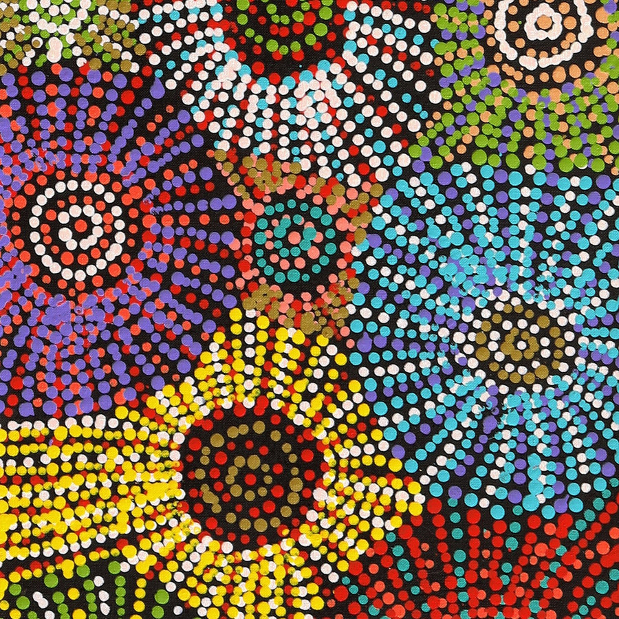 Aboriginal Artwork by Evelyn Nangala Robertson, Ngapa Jukurrpa - Puyurru, 122x30cm