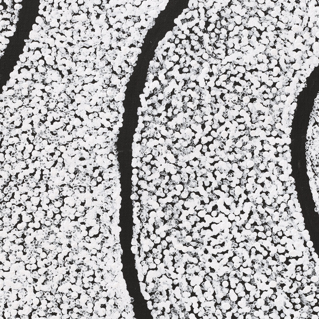 Aboriginal Artwork by Flora Nakamarra Brown, Mina Mina Jukurrpa, 107x91cm