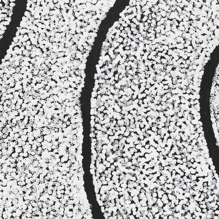 Aboriginal Artwork by Flora Nakamarra Brown, Mina Mina Jukurrpa, 107x91cm