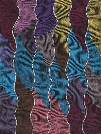 Aboriginal Artwork by Flora Nakamarra Brown, Mina Mina Jukurrpa, 61x46cm