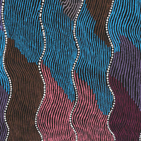 Aboriginal Artwork by Flora Nakamarra Brown, Mina Mina Jukurrpa, 61x46cm