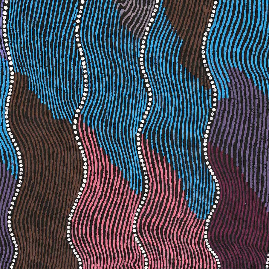 Aboriginal Artwork by Flora Nakamarra Brown, Mina Mina Jukurrpa, 61x46cm