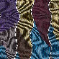 Aboriginal Artwork by Flora Nakamarra Brown, Mina Mina Jukurrpa, 61x46cm