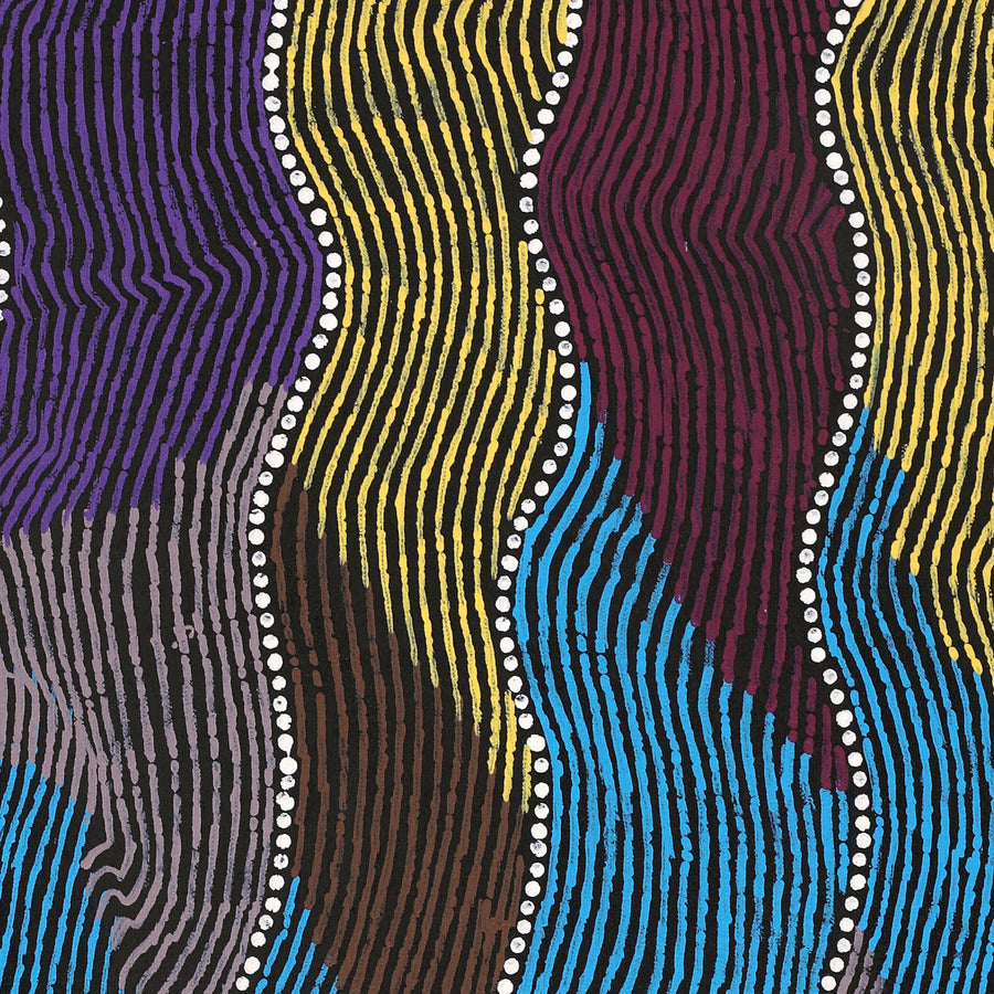 Aboriginal Artwork by Flora Nakamarra Brown, Mina Mina Jukurrpa, 61x46cm