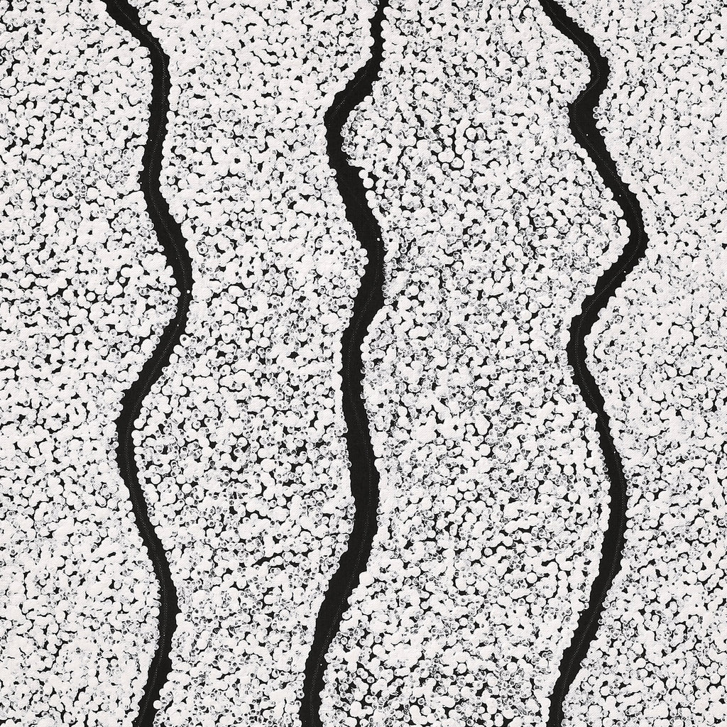 Aboriginal Artwork by Flora Nakamarra Brown, Mina Mina Jukurrpa, 76x61cm