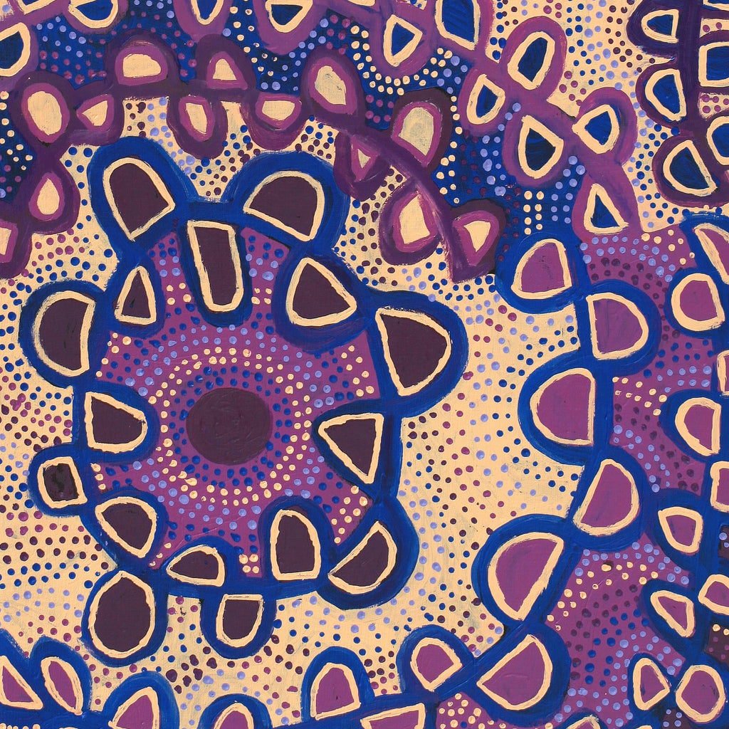 Aboriginal Artwork by Gayle Napangardi Gibson, Mina Mina Jukurrpa - Ngalyipi, 122x61cm
