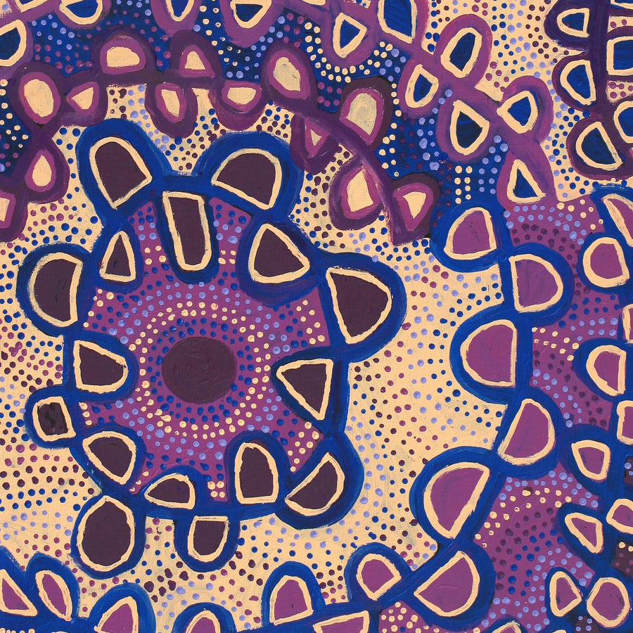 Aboriginal Artwork by Gayle Napangardi Gibson, Mina Mina Jukurrpa - Ngalyipi, 122x61cm