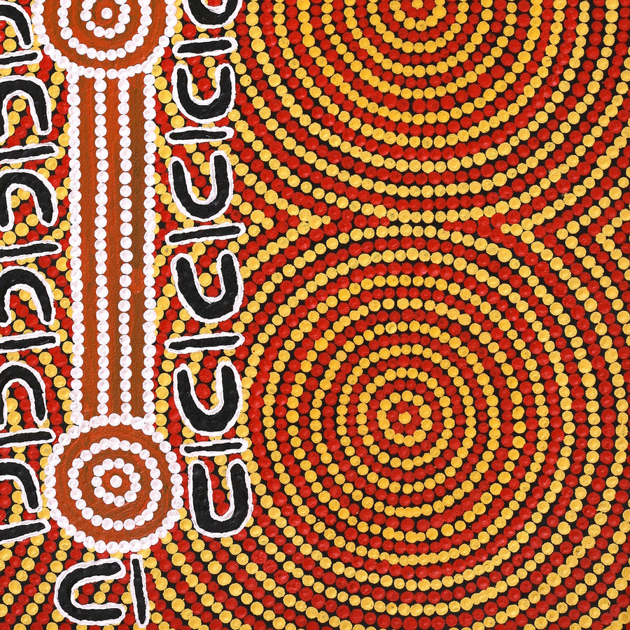 Aboriginal Artwork by Glenda Napaljarri Wayne, Yarungkanyi Jukurrpa (Mt Doreen Dreaming), 61x46cm