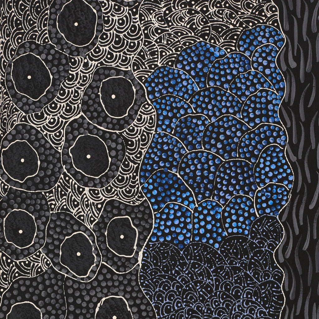 Aboriginal Artwork by Grace Napangardi Butcher, Pikilyi Jukurrpa (Vaughan Springs Dreaming), 152x30cm
