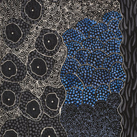 Aboriginal Artwork by Grace Napangardi Butcher, Pikilyi Jukurrpa (Vaughan Springs Dreaming), 152x30cm
