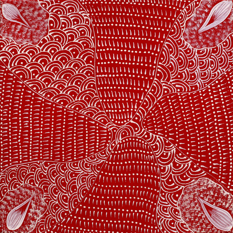 Aboriginal Artwork by Grace Napangardi Butcher, Pikilyi Jukurrpa (Vaughan Springs Dreaming), 30x30cm