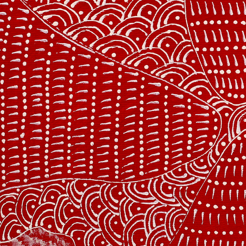 Aboriginal Artwork by Grace Napangardi Butcher, Pikilyi Jukurrpa (Vaughan Springs Dreaming), 30x30cm