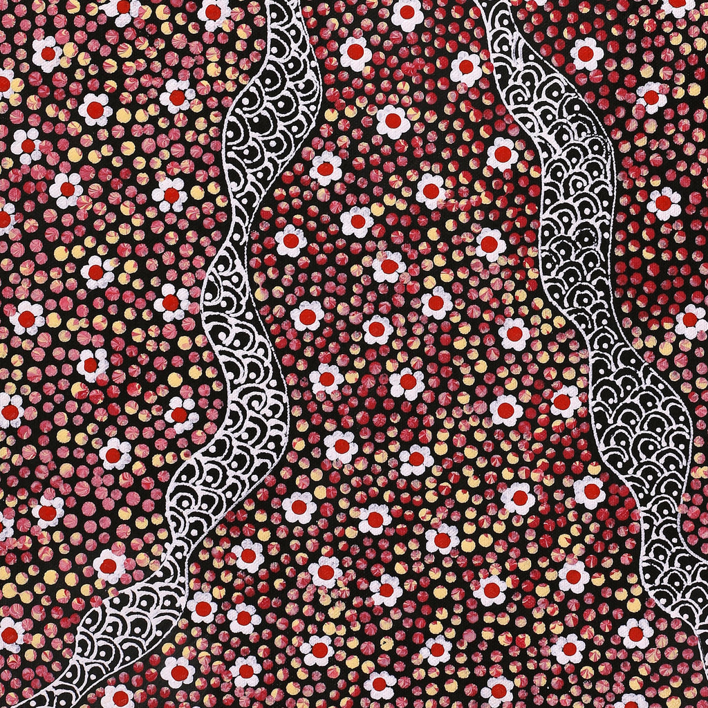 Aboriginal Artwork by Grace Napangardi Butcher, Pikilyi Jukurrpa (Vaughan Springs Dreaming), 61x30cm